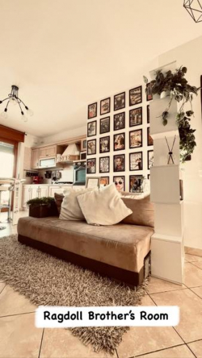 RAGDOLL BROTHER’s ROOM
